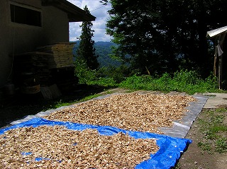 P1010331.jpg